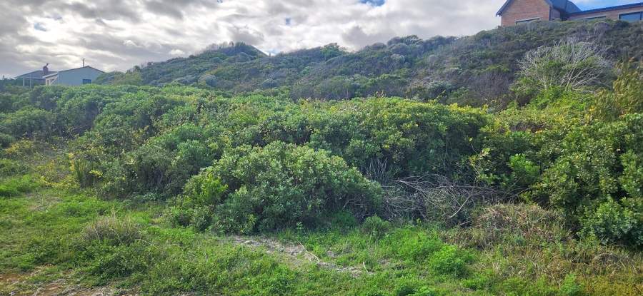 0 Bedroom Property for Sale in Suiderstrand Western Cape